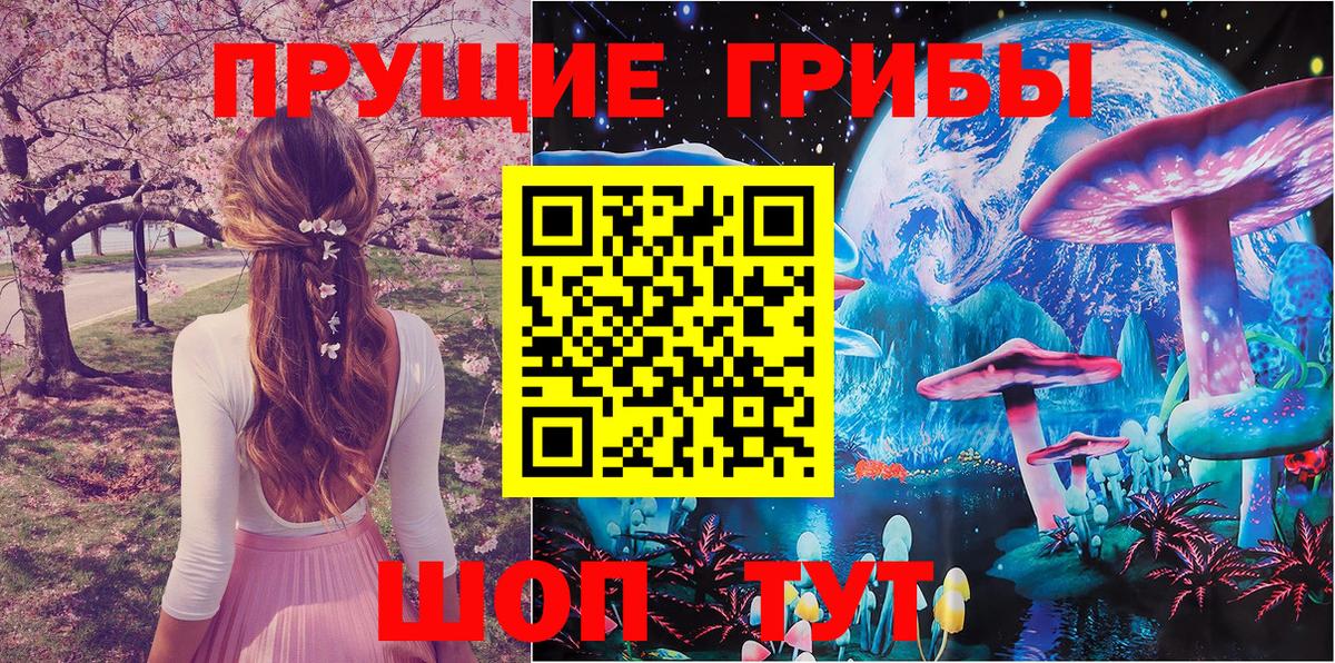 Шарыпово  Галлюциногенные грибы ЛСД  Псилоцибиновые грибы прущие грибы  Вход с VPN 